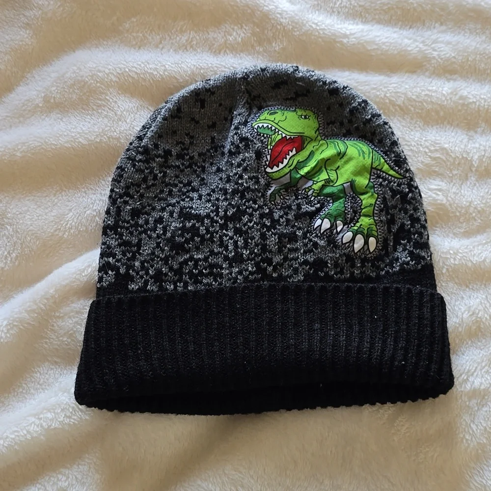 Boys‎ Dinosaur Beanie